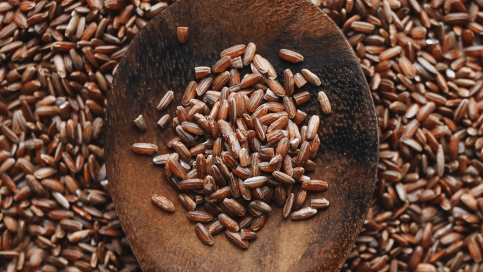 Réussir la cuisson du riz sauvage à tout&nbsp;coup