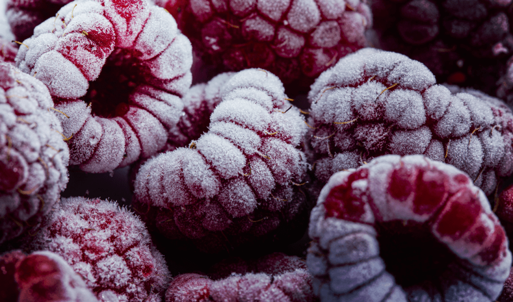 Guide de la congélation des aliments