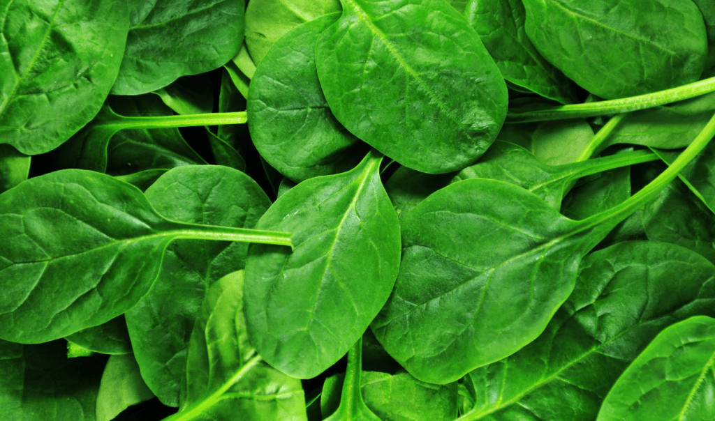6 faits sur les épinards