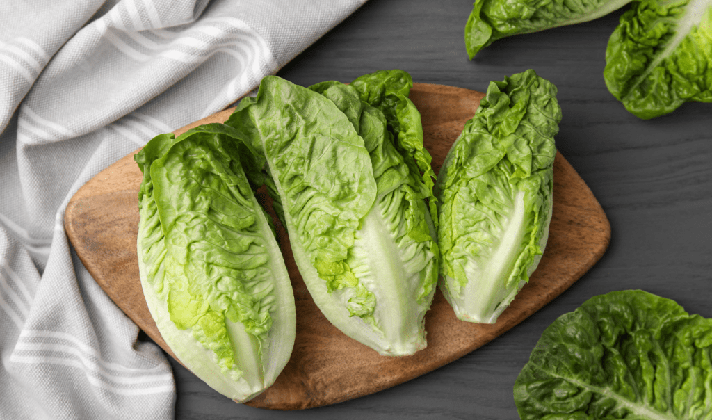 2 trucs pour redonner vie à la salade flétrie