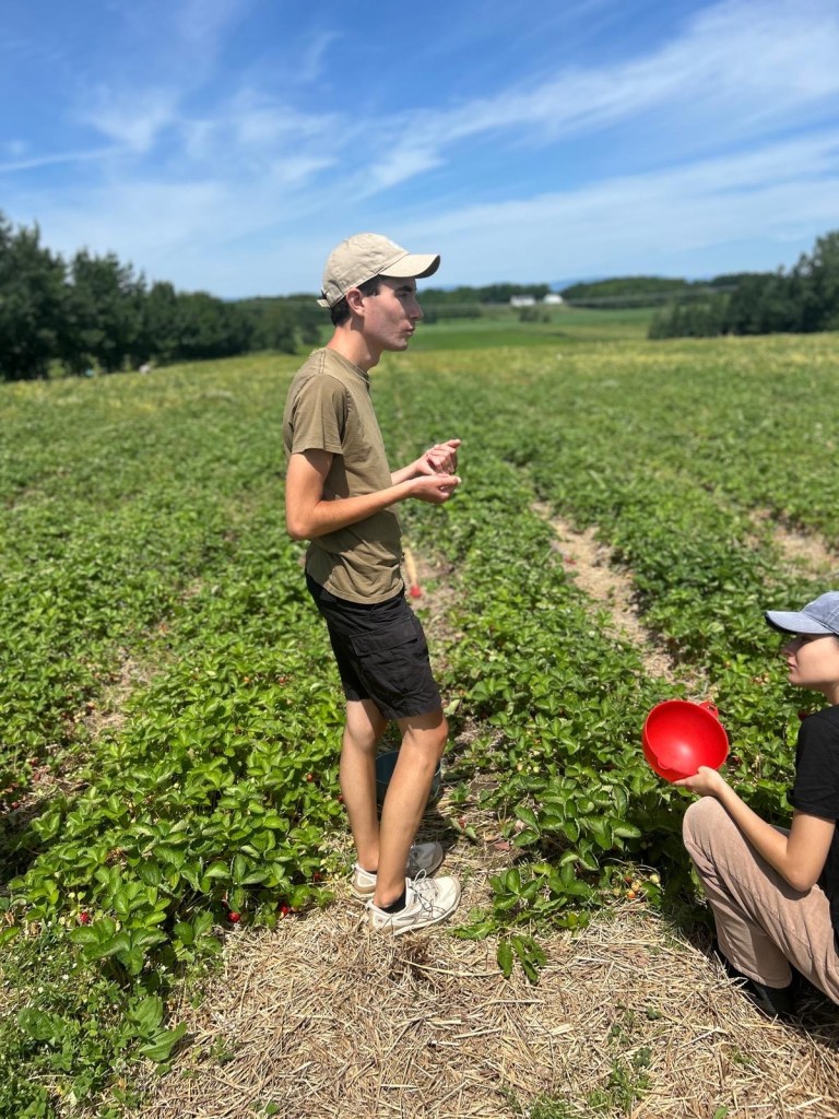Zachary Barde - Le temps des fraises
