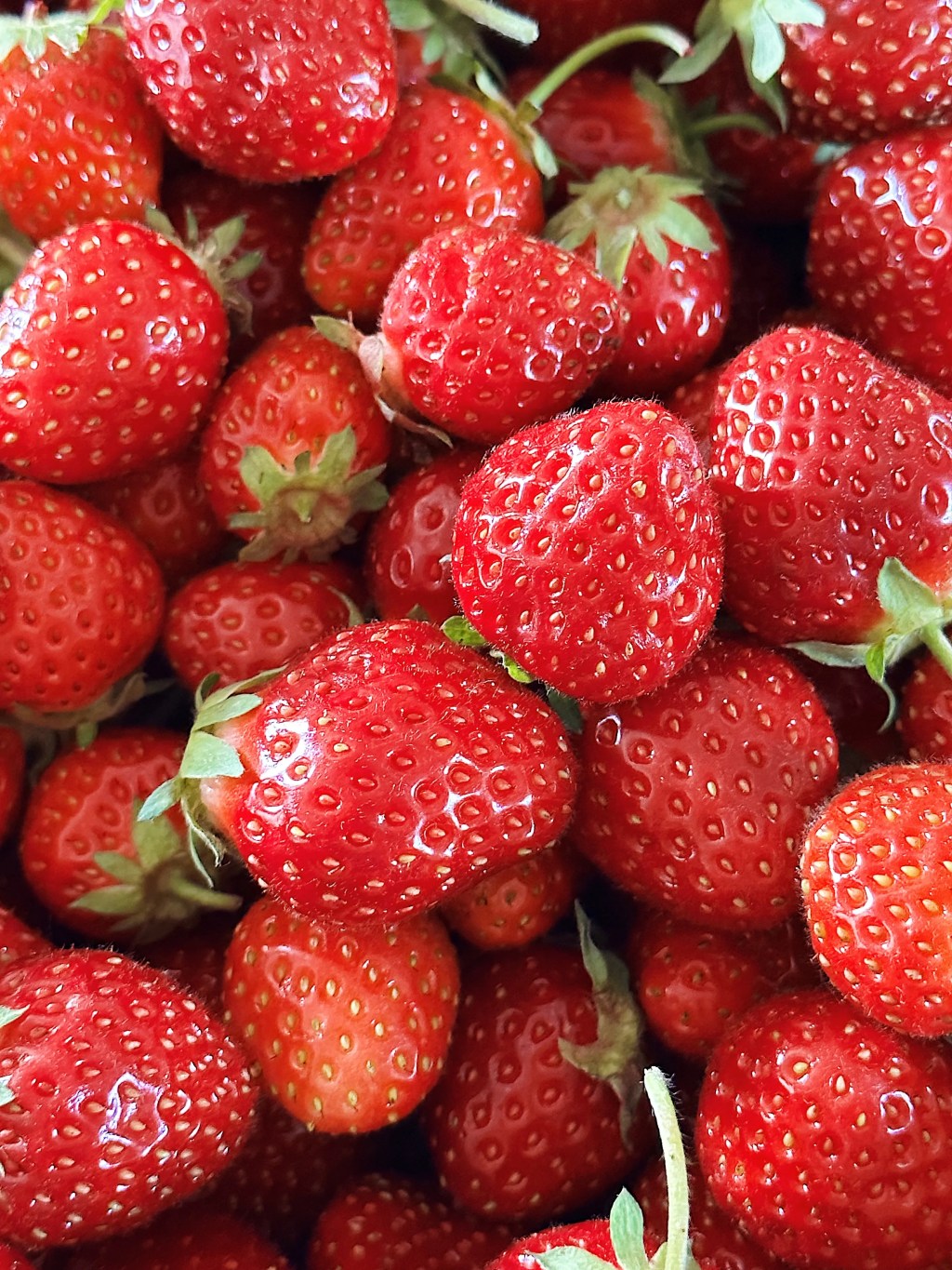 Comment congeler des fraises?